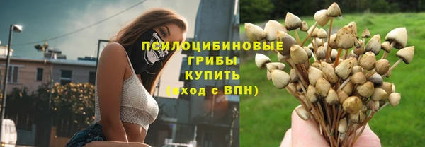 стафф Алексин