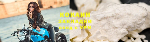 стафф Алексин