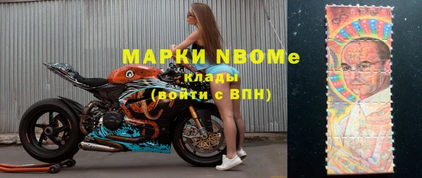 стафф Алексин