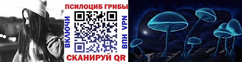 Псилоцибиновые грибы GOLDEN TEACHER  цена   Краснообск 